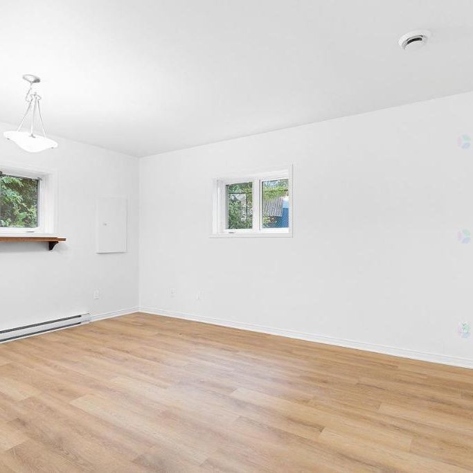 Appartement 1 CC en semi sous-sol //DISPONIBLE DÈS MAINTENANT - Photo 1