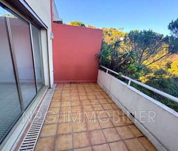 Location Appartement 1 pièce 29m² MANDELIEU LA NAPOULE 06210 - Photo 6