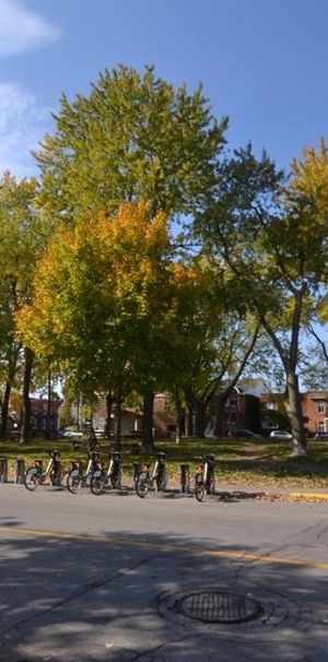 4 1/2 à louer Montréal - Photo 1