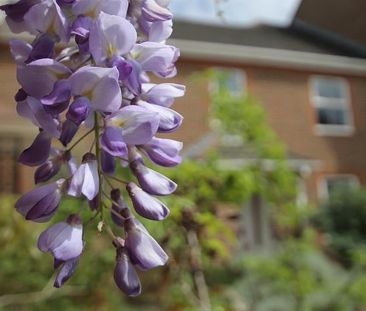 Studio Flat, Forest Hill, SE23 - Photo 6