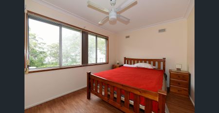 Seeking Seclusion? - Photo 3