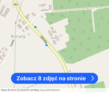 Mieszkanie do wynajęcia w miejscowości Kocury 120m2 - Zdjęcie 1