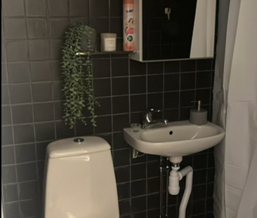 Svedenvägen, Rö - Photo 3