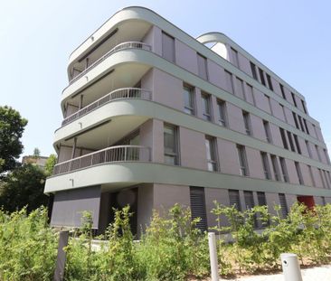 Nähe Dorfzentrum Reinach - moderne 2.5-Zimmer-Wohnung im DG - Photo 1