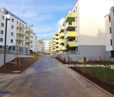 SINGLE-PÄRCHEN-HIT! in OBERLAA!! - Foto 1