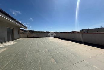 Capannone in affitto