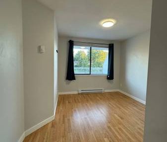 Newly Renovated 2 Beds 1 Bath Apartment - Photo 4