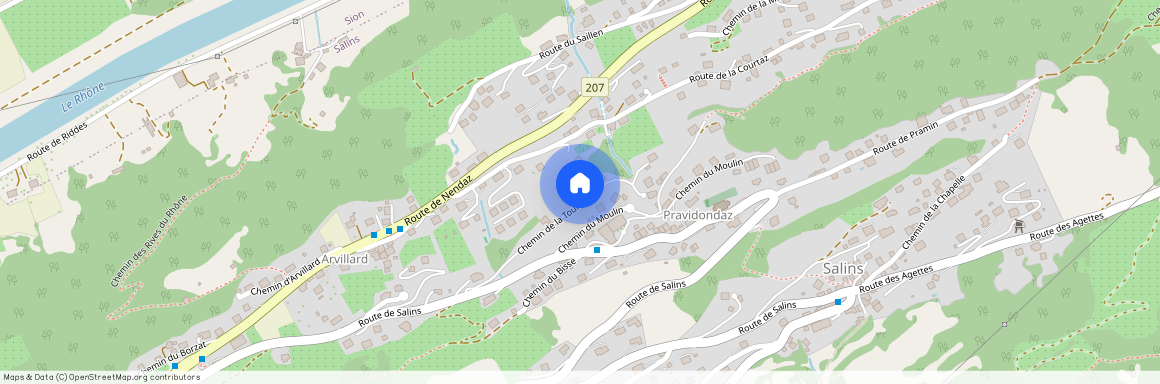 Chemin de la Toulaz 13a, 1991 Pravidondaz (Salins)