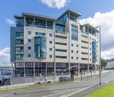 The Crescent, Plymouth - Photo 5