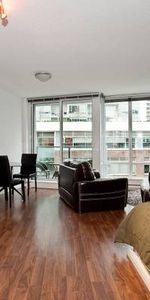 Available December 1st- Pet Friendly Furnished Studio @233 Robson - Photo 4