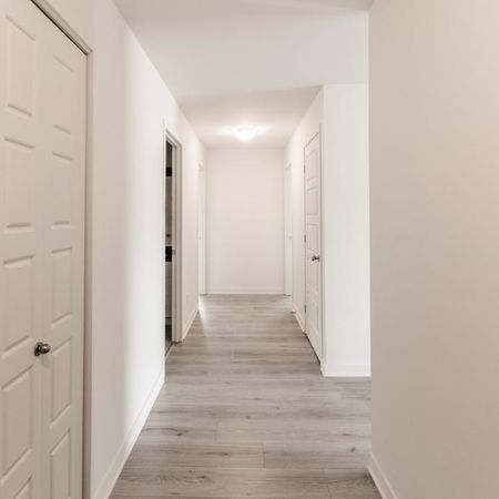 Logement 4 1/2 - Novembre 2025 - Photo 3