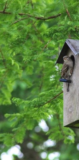 Ingatorpsvägen 1, Rumskulla - Foto 1