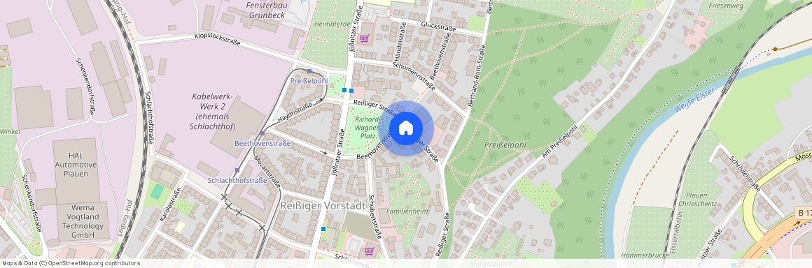 Reißiger Straße 117, 08525 Plauen