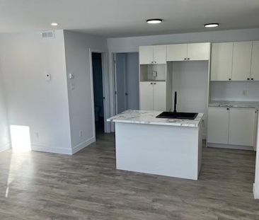 3 1/2 Bachelor très éclairé à Sainte-Agathe - Photo 2