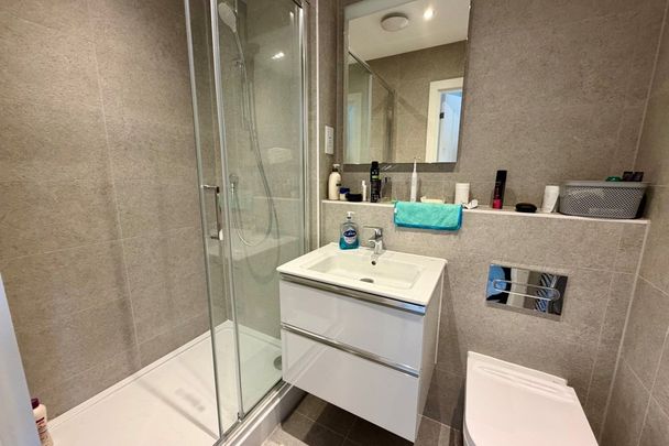 Dinmore Way - Photo 1