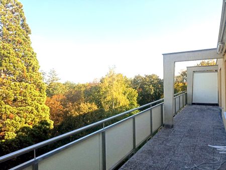 BADEN: DACH - TERRASSEN - WOHNUNG in TOP Lage: Grünruhelage mit Fernblick im 6. Stock direkt am Rosarium unweit des Zentrums - Photo 5