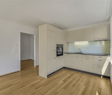 2.5 Zimmer, EG - Photo 1