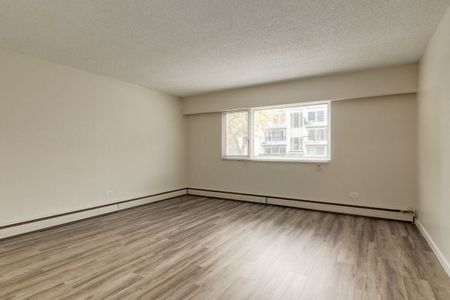 1 Bedroom - Photo 2