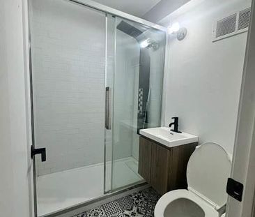 1 CH - 1 SDB - Montréal - $1,300 /mo - Photo 1