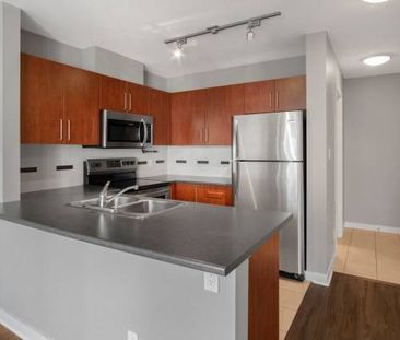 1B/1B, Modern Fitness Facility, Fully-Equipped Contemporary Kitchen - Photo 3