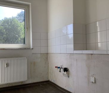 Zebraweg 1, 33659 Bielefeld OT Senne - Foto 4