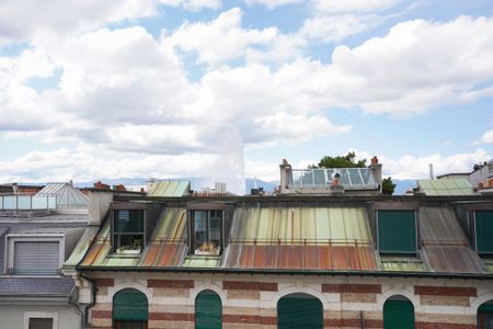 Rare à la location, lumineux appartement au coeur de la ville - Photo 4