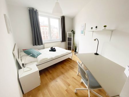 Schönbrunnerstraße Top 9 Zimmer 2 - Photo 3
