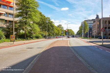 Appartement te huur: Riouwstraat 186 2585 HX Den Haag - Photo 4