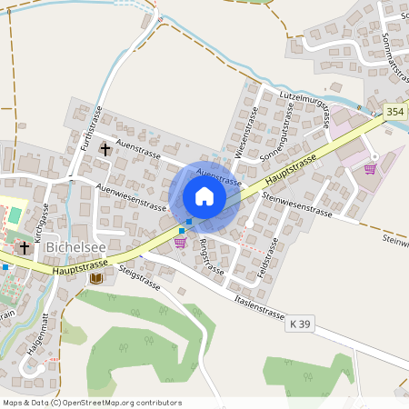 8363, Bichelsee, Hauptstrasse, 4