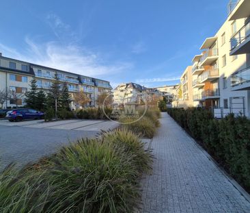 Ogrody Hallera, Balkon,Winda, Małe zwierzęta Tak - Zdjęcie 4