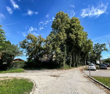 Moderne 2-Zimmer-Wohnung mit Terrasse in Nettingsdorf zu mieten! - Foto 6