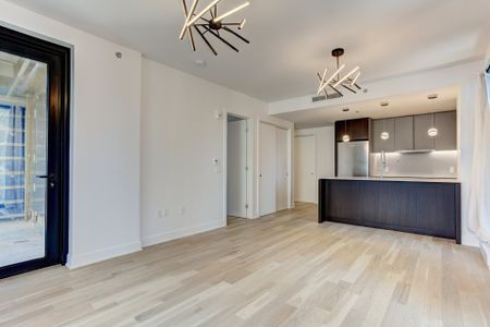 Condo for rent, Montréal (Ville-Marie) - Photo 3