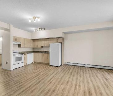 4641 128 Avenue Northeast, Calgary - Photo 5