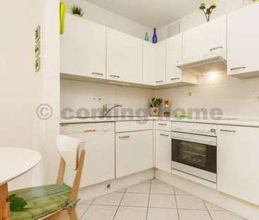 Single Urban Living - Photo 4