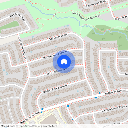 44 Salt Creek Avenue Unit# Basement, Richmond Hill