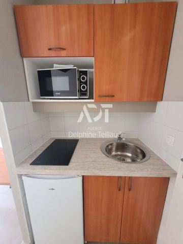 Location Appartement 1 pièce 18m² GRENOBLE 38000 - Photo 5