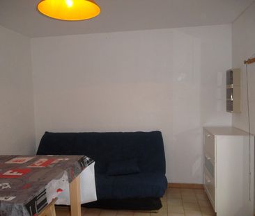 Location Appartement 1 pièce 18m² ROANNE 42300 - Photo 2