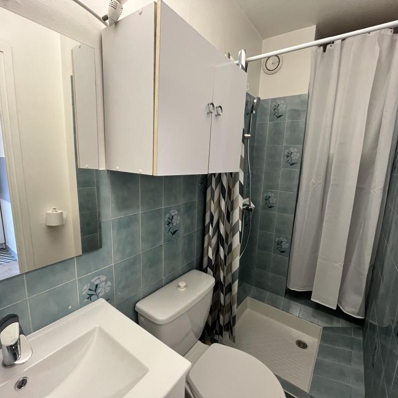 Location Appartement 1 pièce Meublé 19m² AIX LES BAINS 73100 - Photo 1