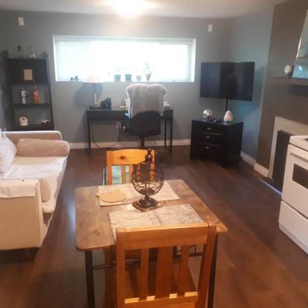 1 Br, 1 Bathroom Basement Suite for Rent - Photo 1