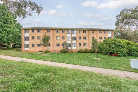 51/3 Waddell Place, Curtin ACT 2605 - Apartment For Rent | Domain - Photo 4