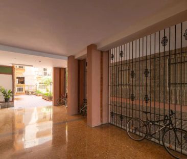 Sevilla - Photo 4