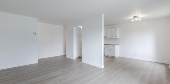 Appartement 4 ½ à louer Lévis novembre 2025 - Photo 2