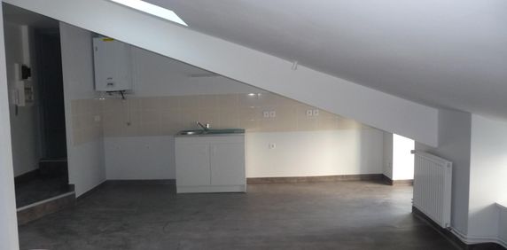 Location Appartement 1 pièce 30m² ST ETIENNE 42100 - Photo 2