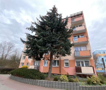 Grudziądz, Rządz Mieszkanie na wynajem - Photo 4