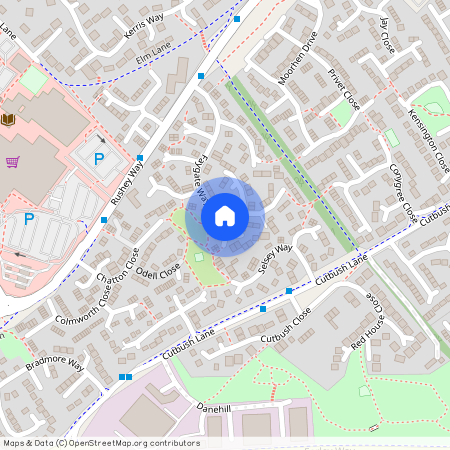 Bosham Close, Reading, RG6