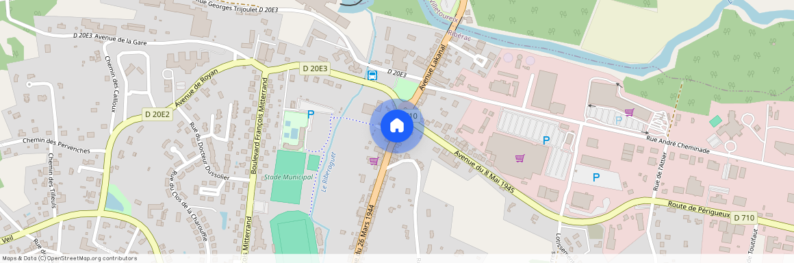 NOUVELLE-AQUITAINE, DORDOGNE (24), 24600, Riberac