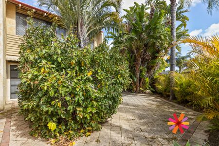 RENOVATED TOWNHOUSE WITH INCREDIBLE, SPACIOUS OUTDOOR BALI SPACE - Photo 4