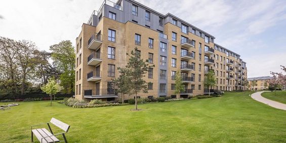 3 bedroom flat to rent - Photo 3