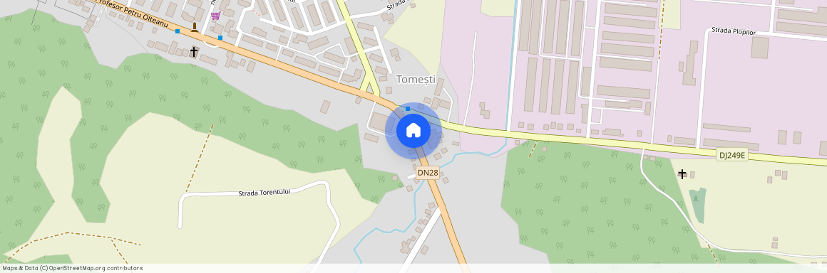 Iasi, Tomesti