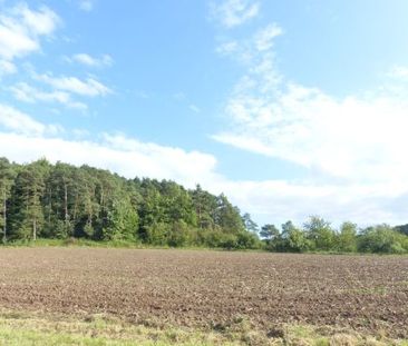 Schicke, möblierte 2-Zimmer-Mietwohnung mit herrlichem Blick in 977... - Photo 6
